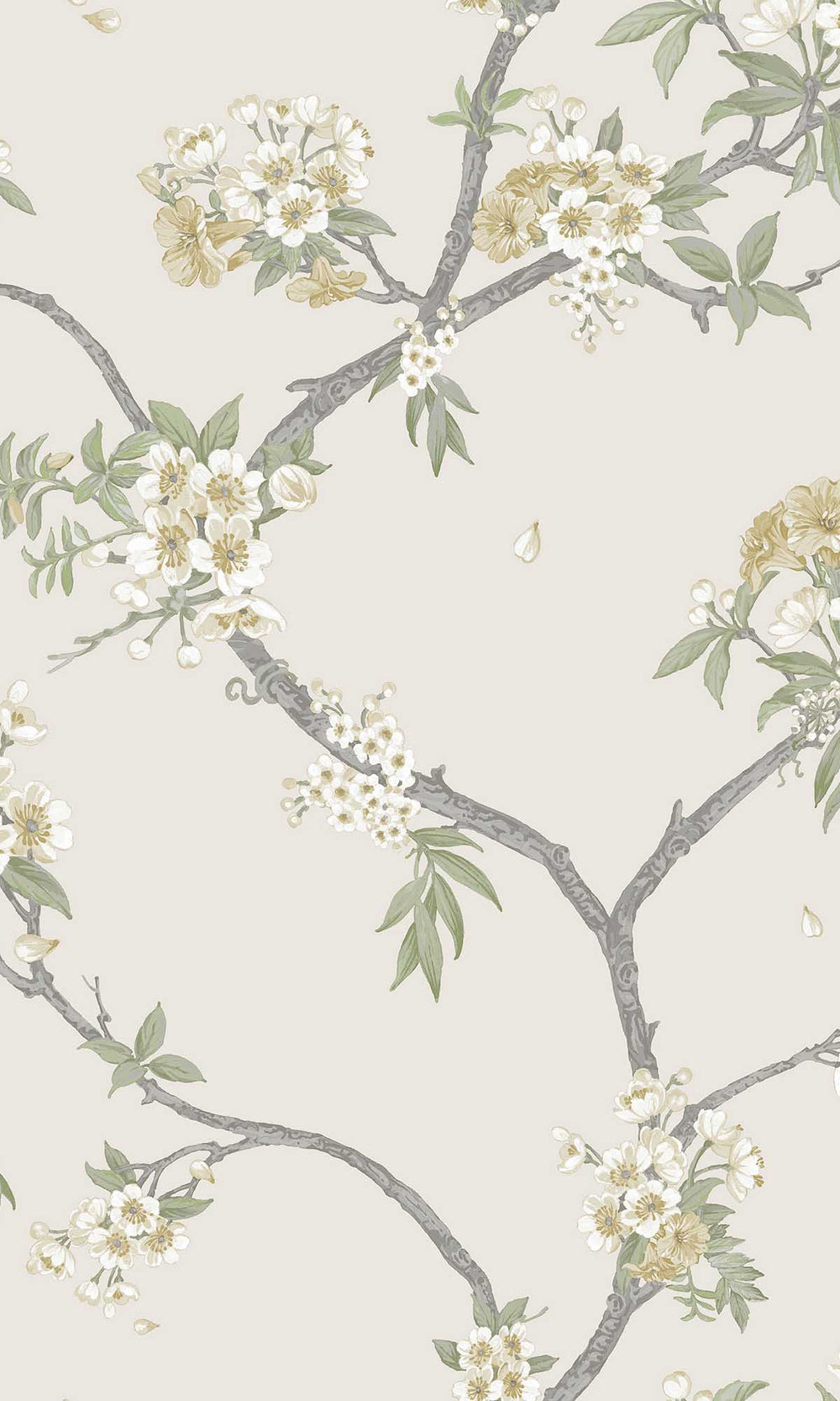 Yellow Cream Blooming Cherries Wallpaper R10076