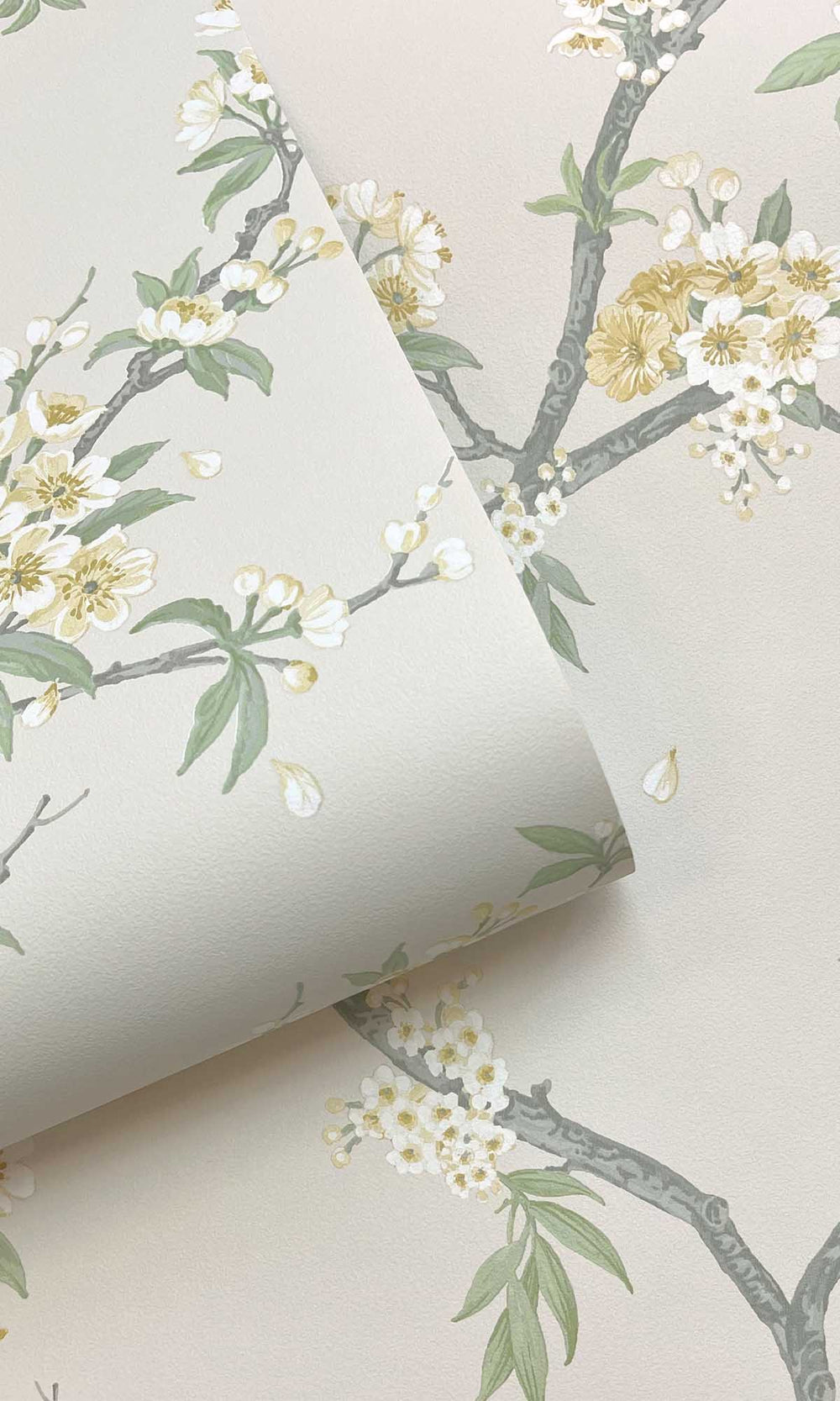 Yellow Cream Blooming Cherries Wallpaper R10076
