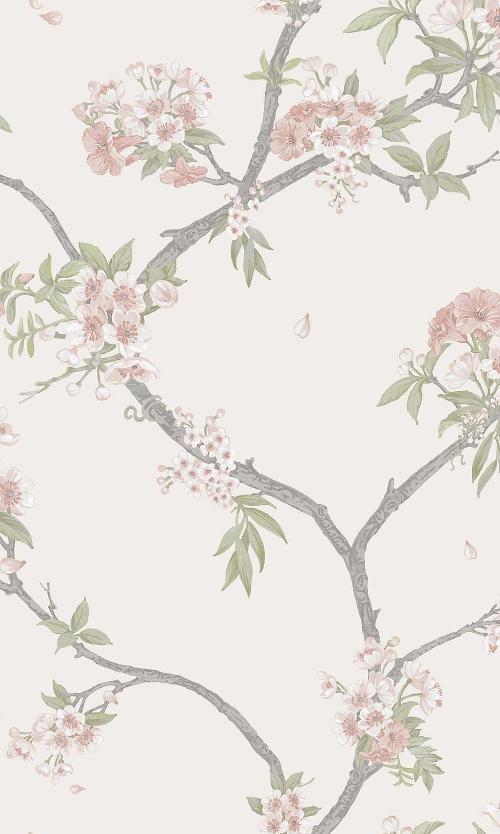 Pink Cream Blooming Cherries Wallpaper R10077