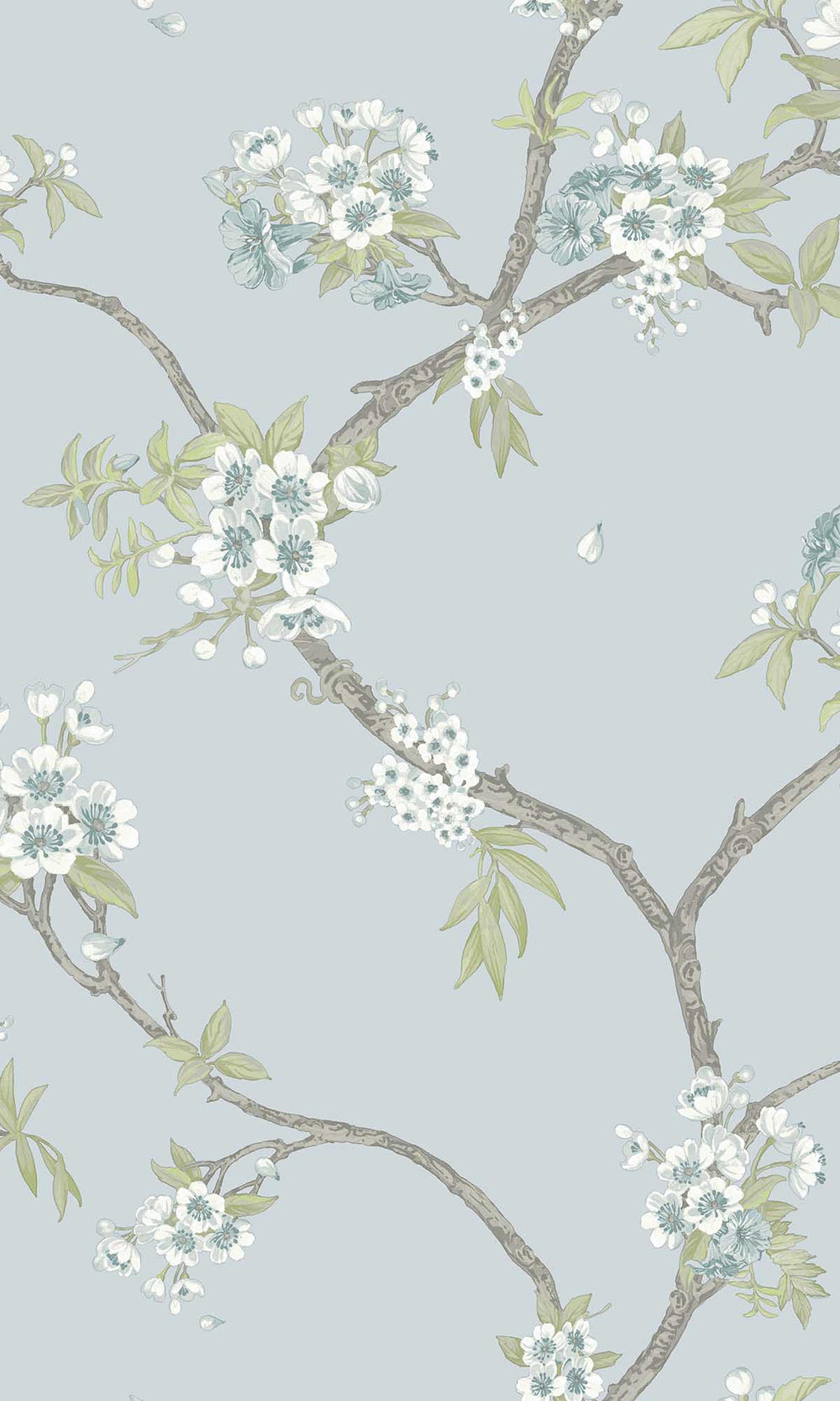 Blue Blooming Cherries Wallpaper R10078