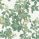 Cream Green (this color)