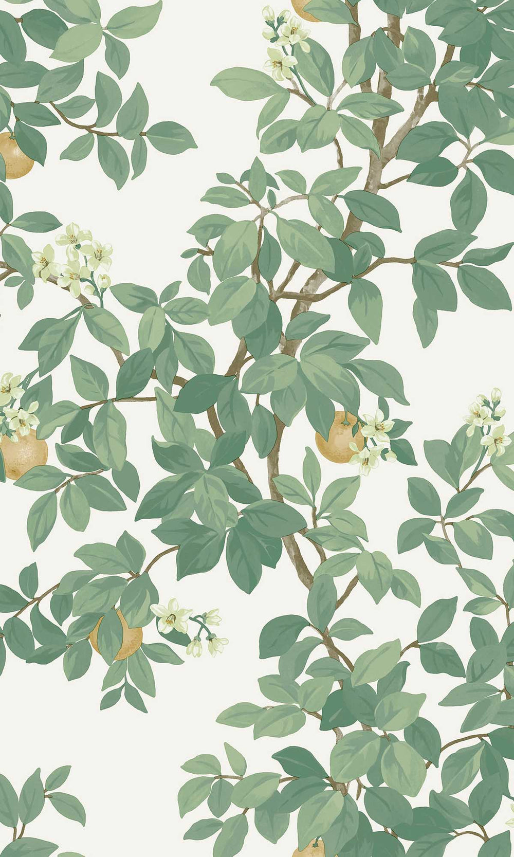 Cream Green Blooming Orange Tree Wallpaper R10086