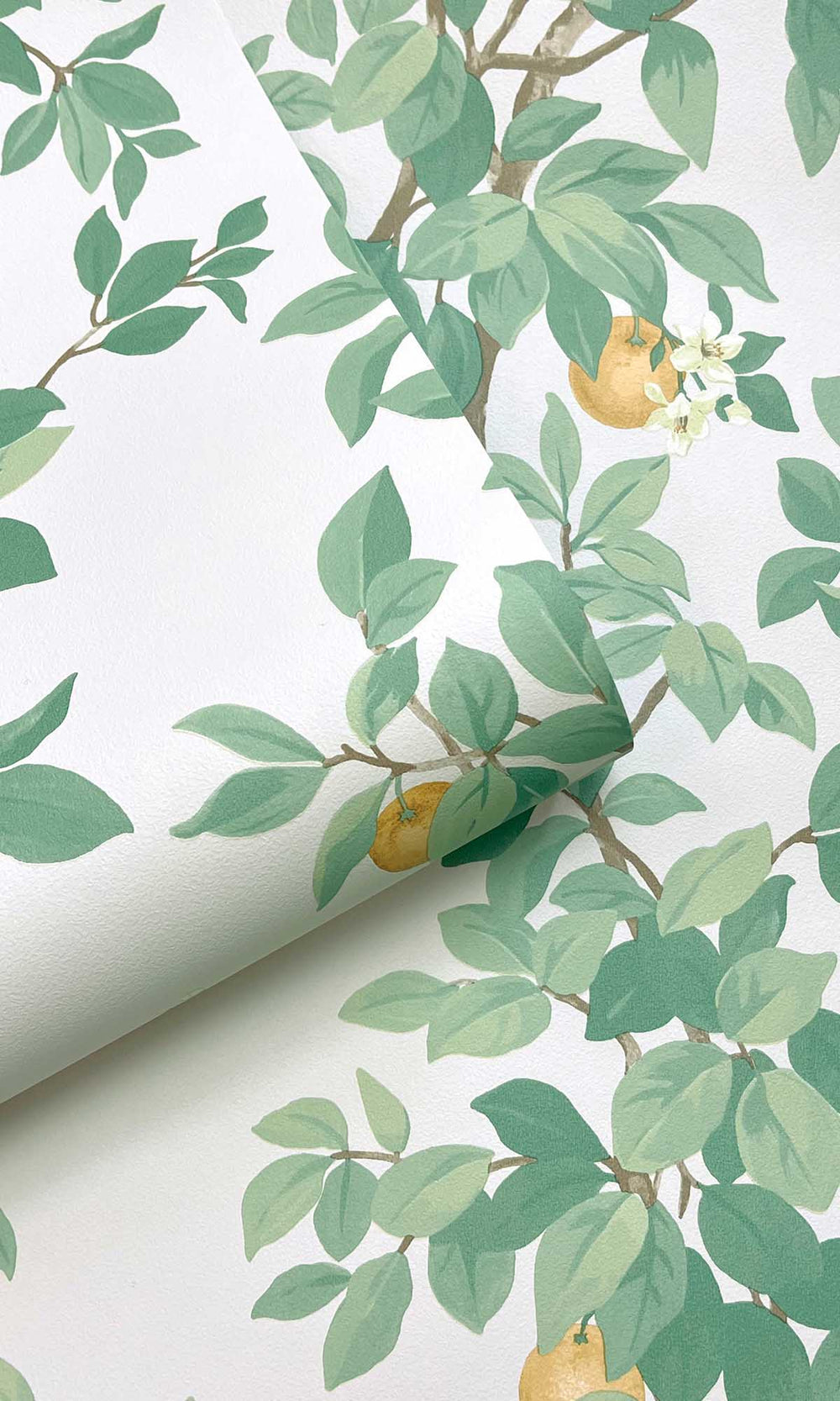 Cream Green Blooming Orange Tree Wallpaper R10086