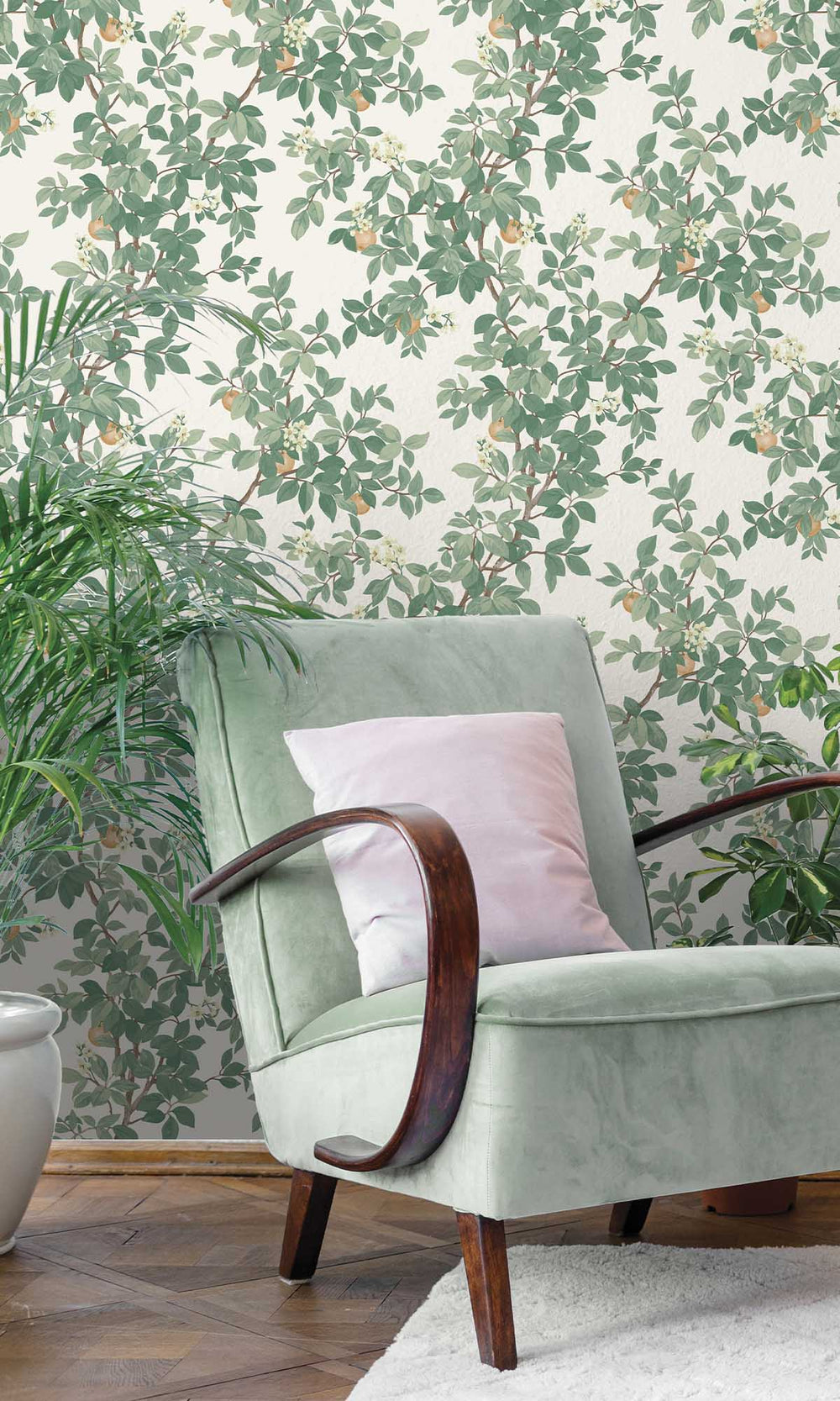 Cream Green Blooming Orange Tree Wallpaper R10086