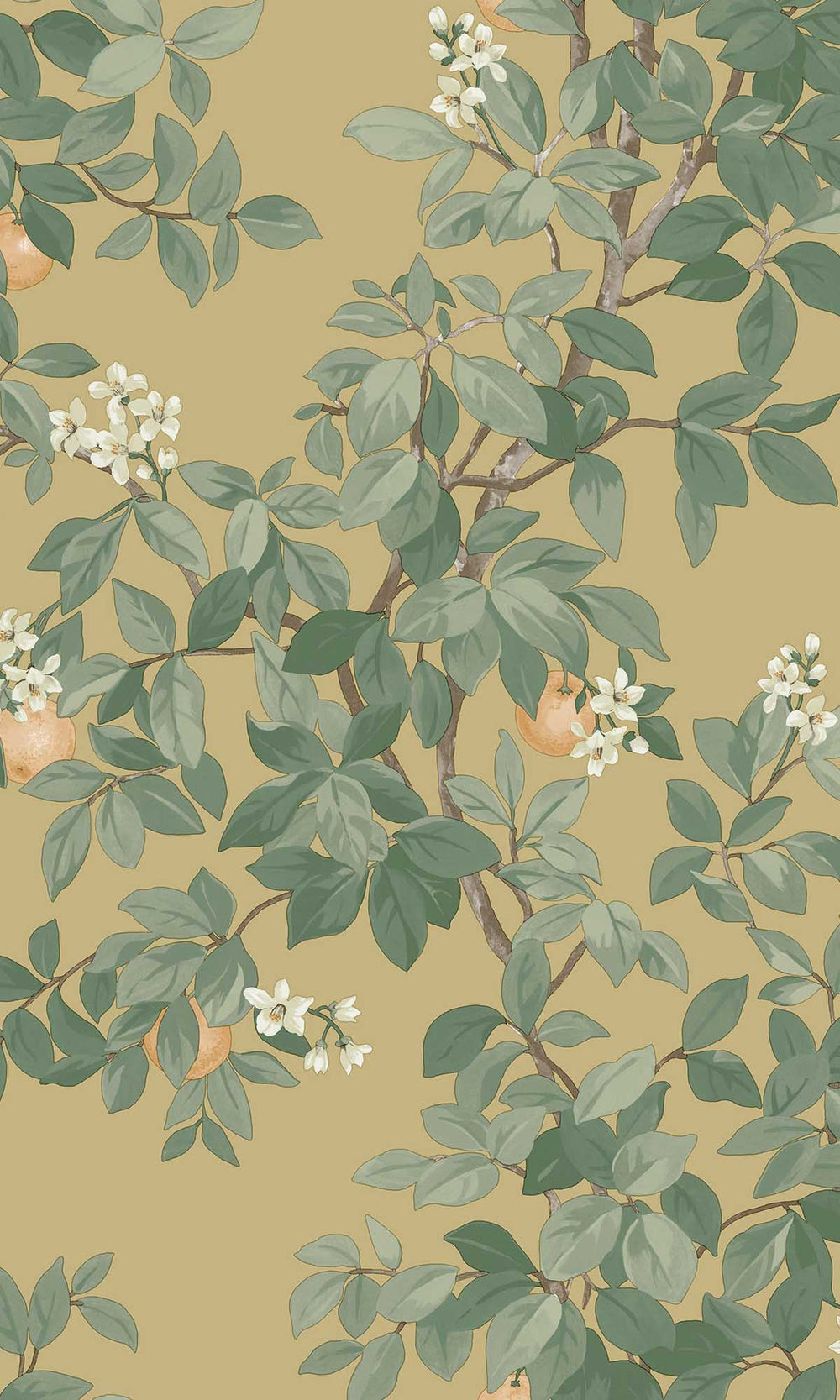 Ochre Blooming Orange Tree Wallpaper R10087