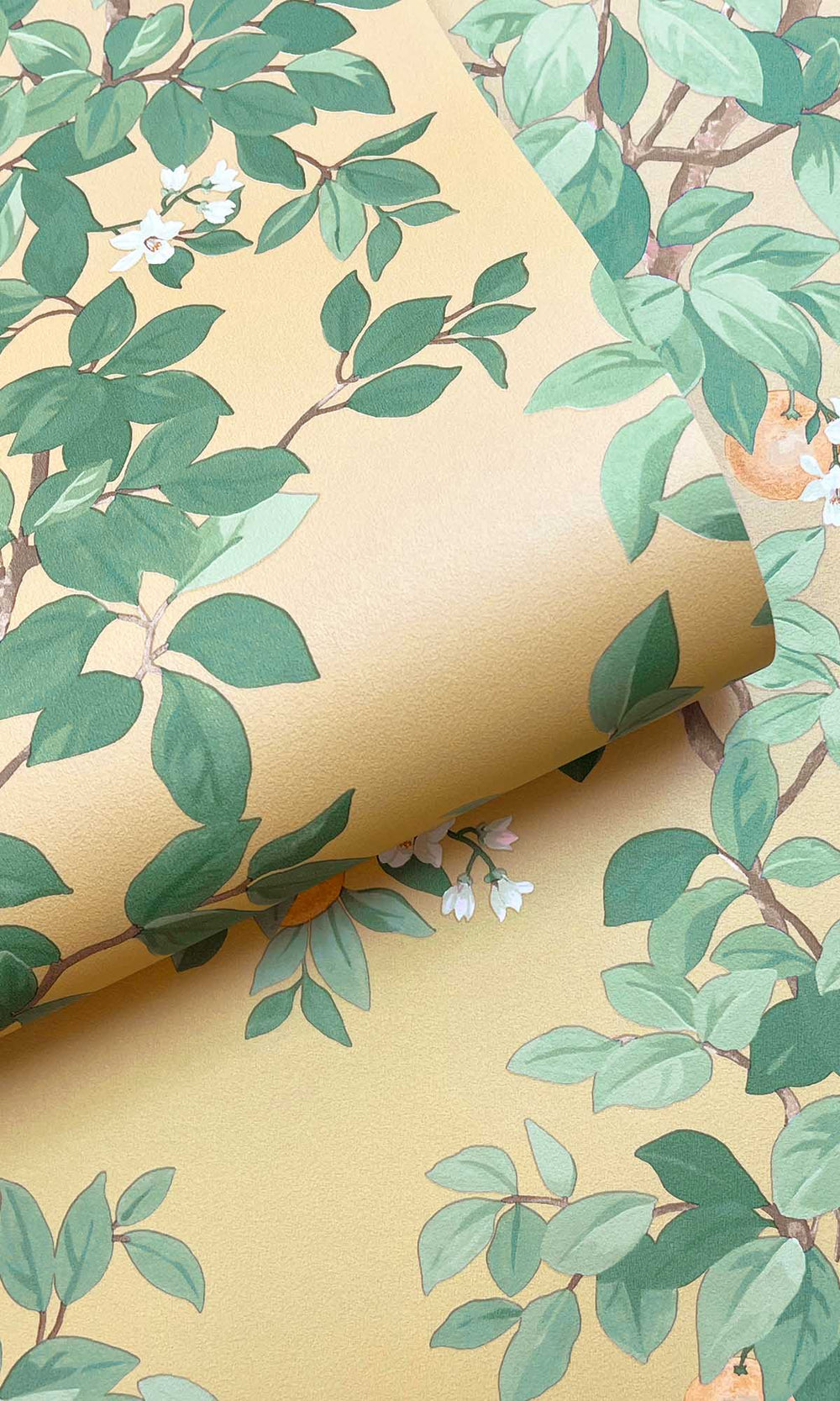 Ochre Blooming Orange Tree Wallpaper R10087