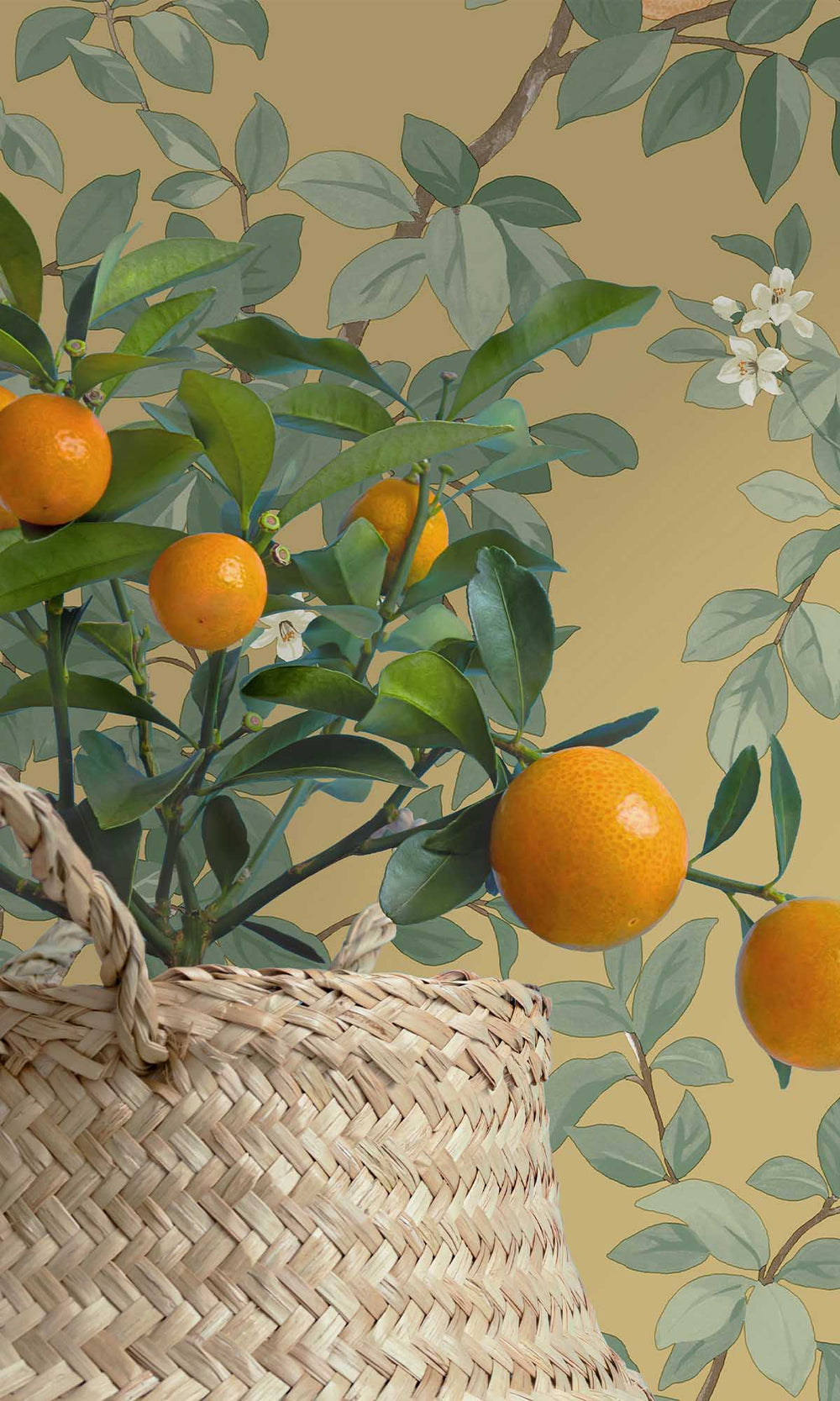 Ochre Blooming Orange Tree Wallpaper R10087