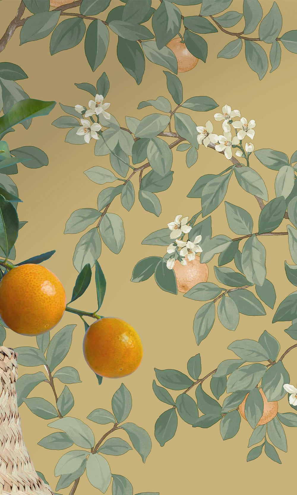 Ochre Blooming Orange Tree Wallpaper R10087
