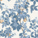 Blue White