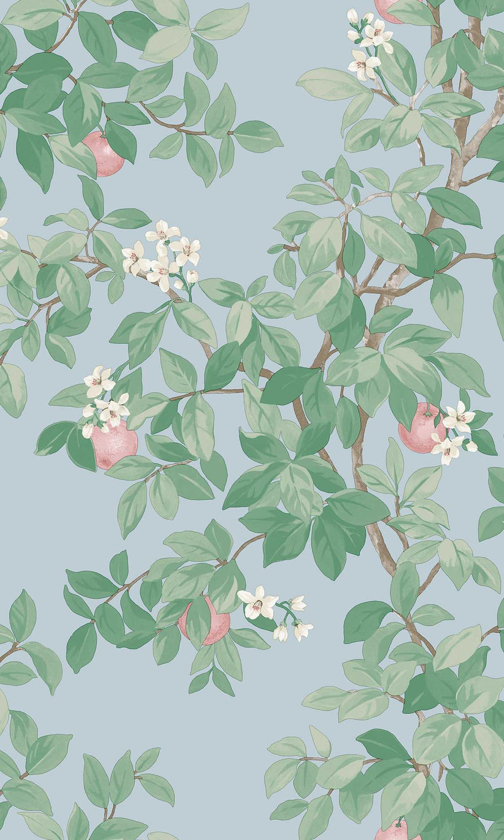 Sky Blue Blooming Orange Tree Wallpaper R10089