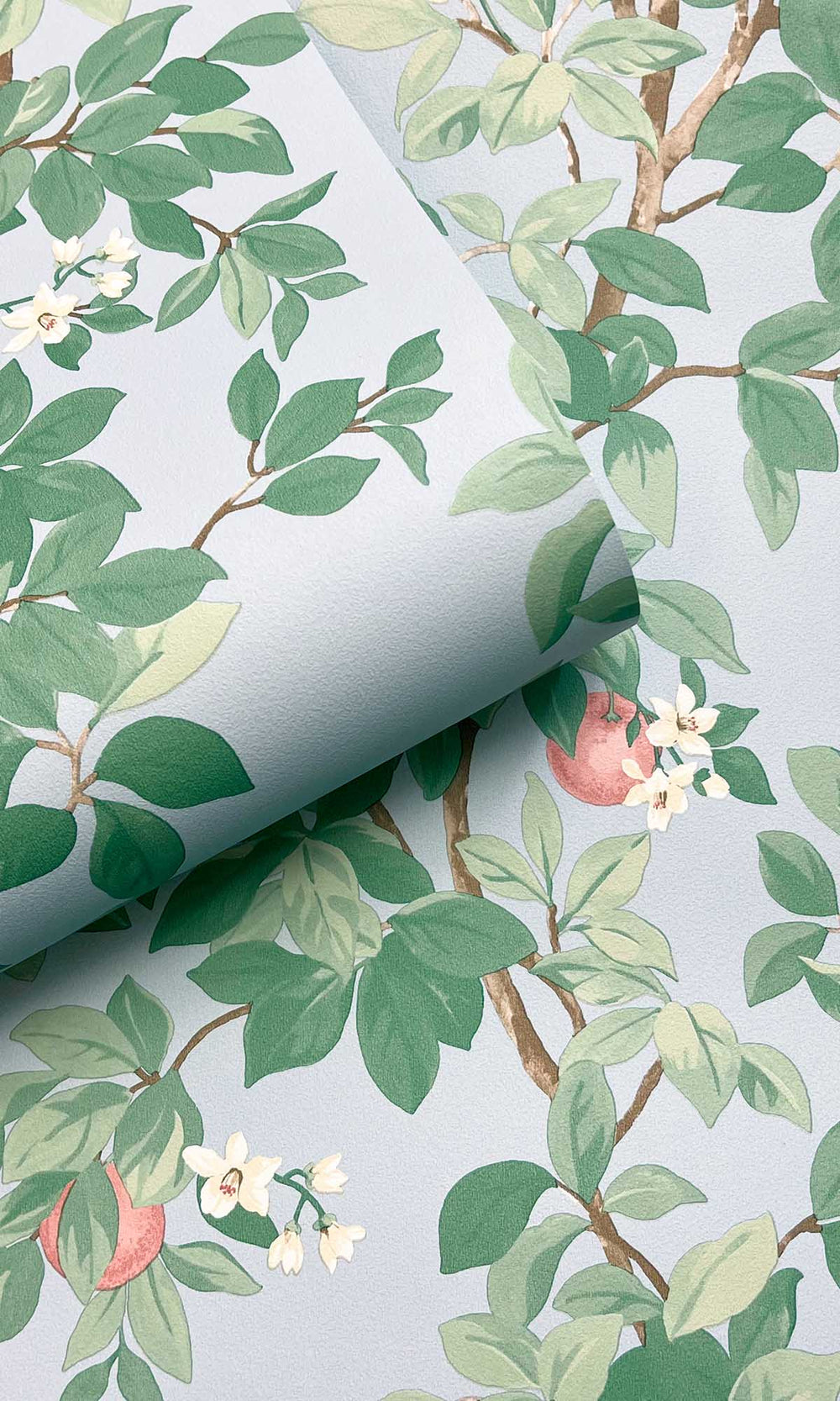 Sky Blue Blooming Orange Tree Wallpaper R10089