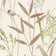 Beige - Brown