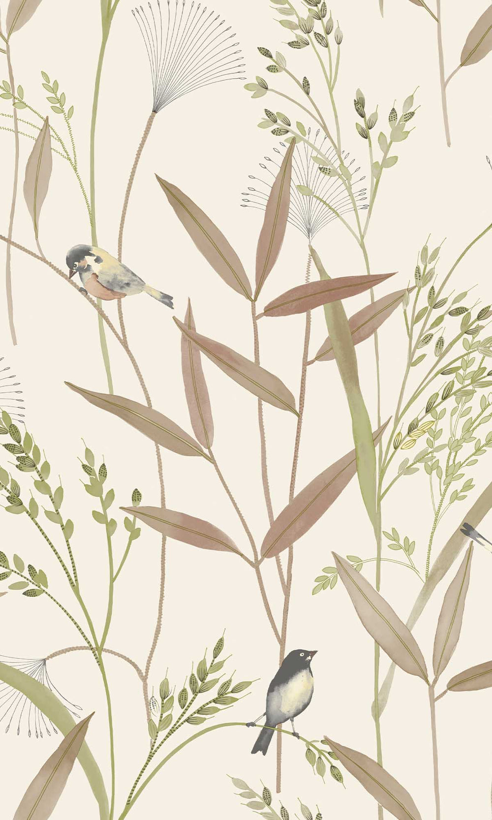 Beige - Brown Tropical Birds & Wheat Stalks Wallpaper R10125