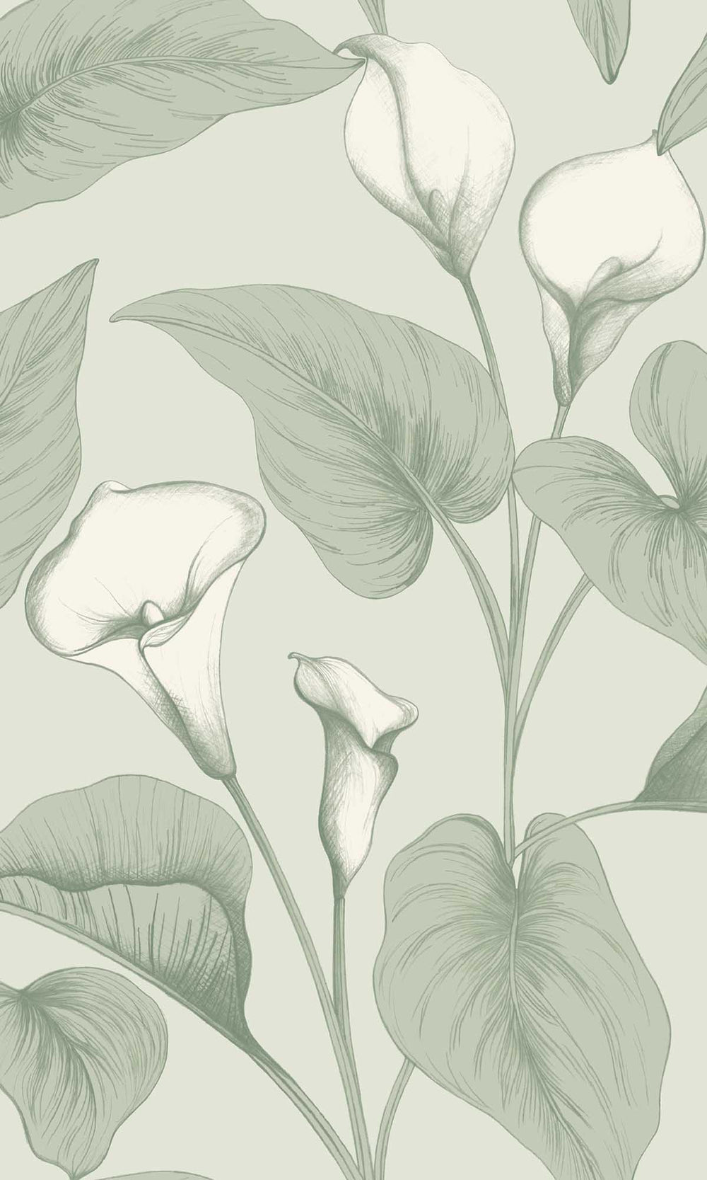 Coronado Moss Allover Calla Lilies Wallpaper R10126