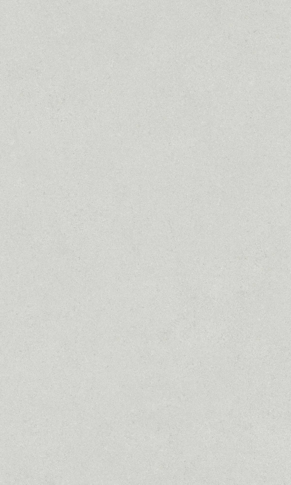 Concrete Grey Faux Concrete Wallpaper R10129