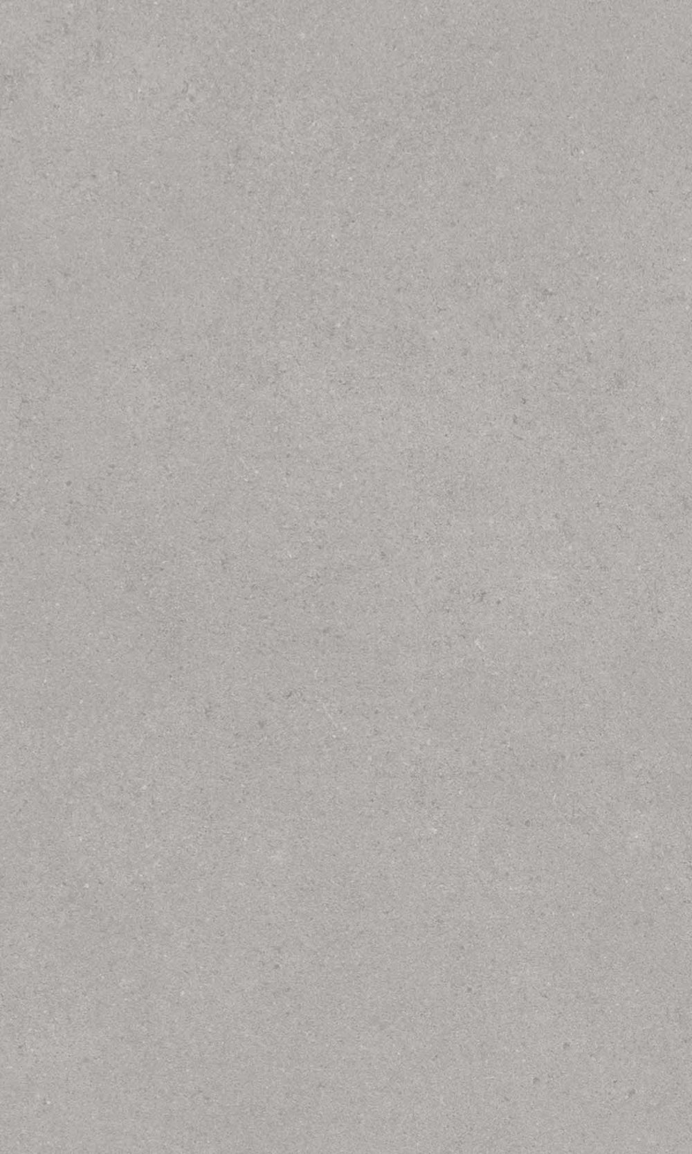 Flint Rock Grey Faux Concrete Wallpaper R10133