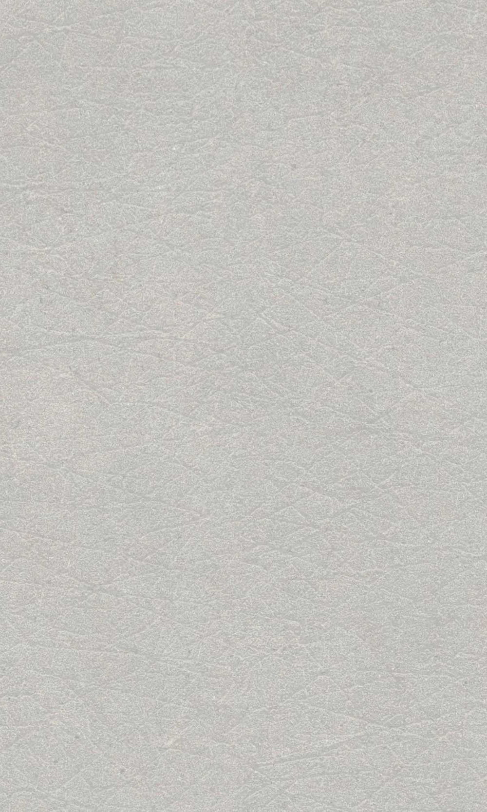 Grey Scape Faux Leather Wallpaper R10144