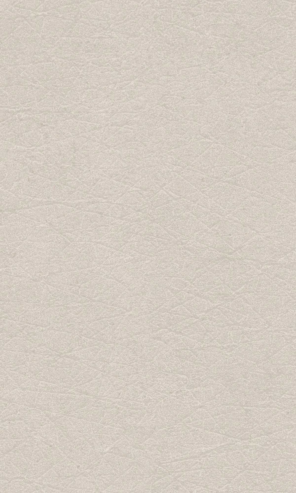 Linnet Beige Faux Leather Wallpaper R10147