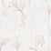 Hazel Blush (this color)