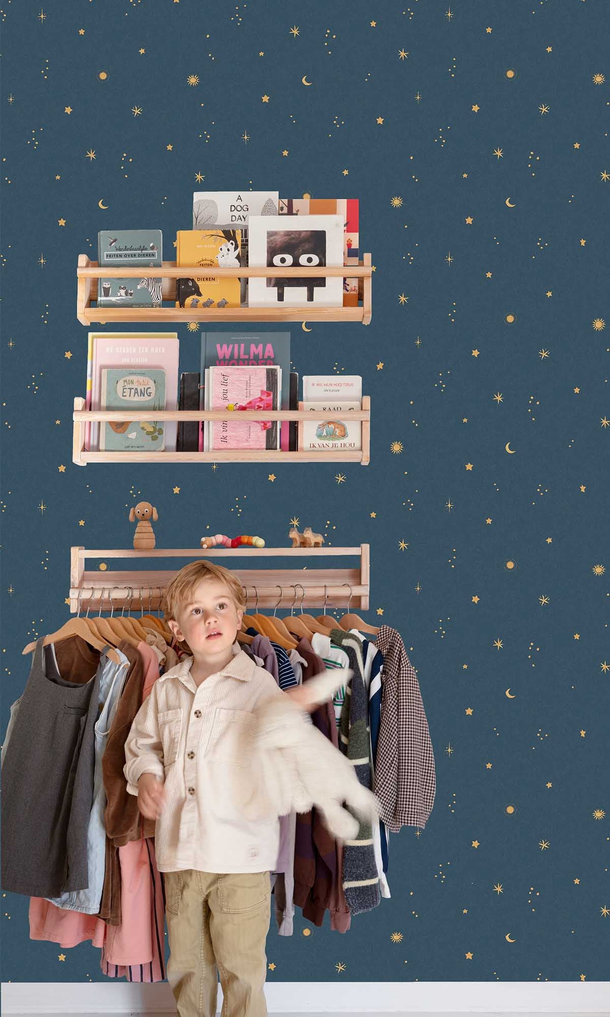 Aircraft Blue Starry Night Sky Wallpaper R10243