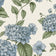 Blue/Green