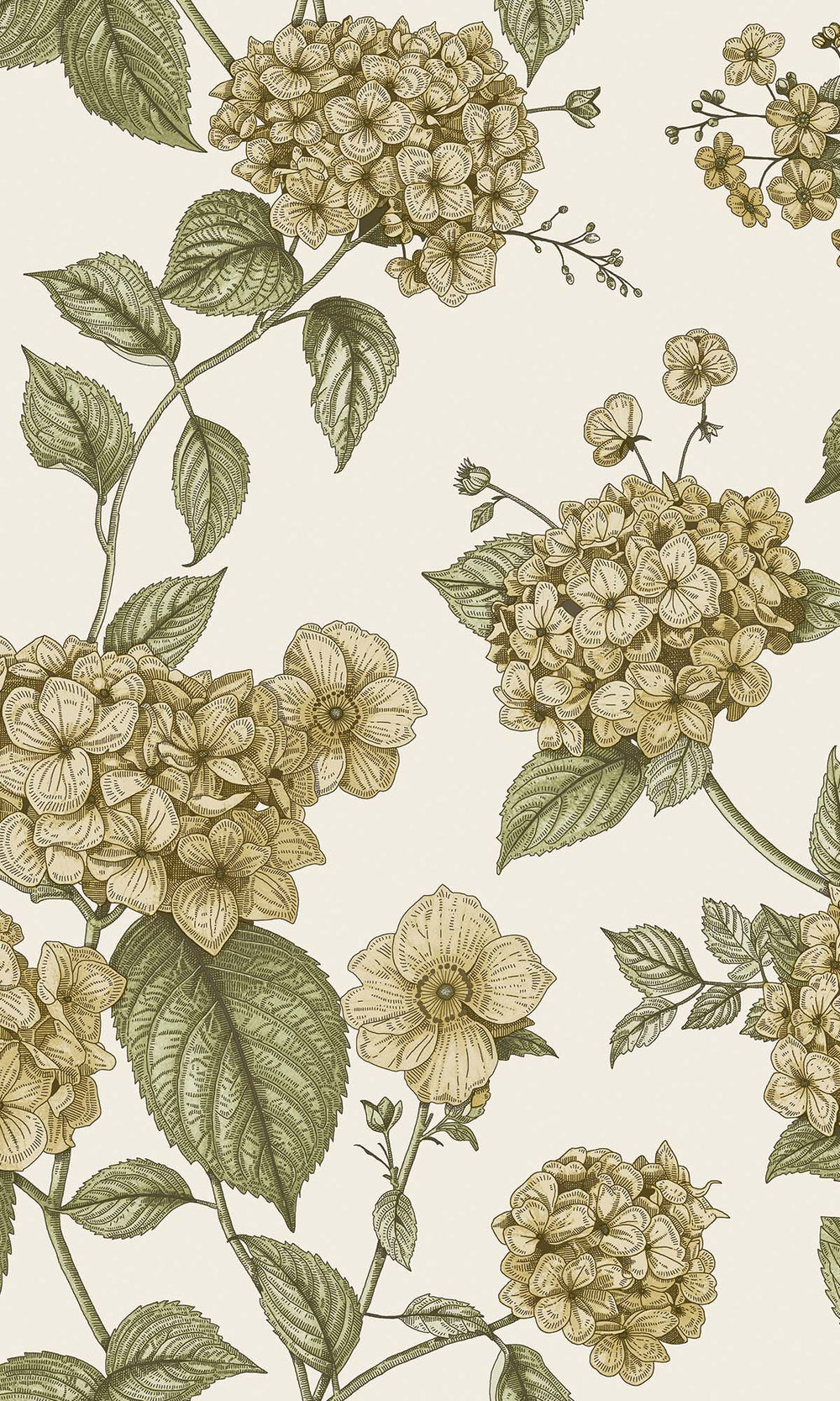 Ochre/Green Elegant Hydrangea Wallpaper R10286