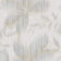 Oyster Mushroom