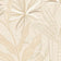 Cream (this color)