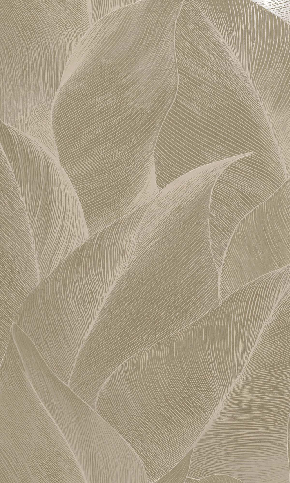 Beige Allover Anthurium Leaf Wallpaper R10361
