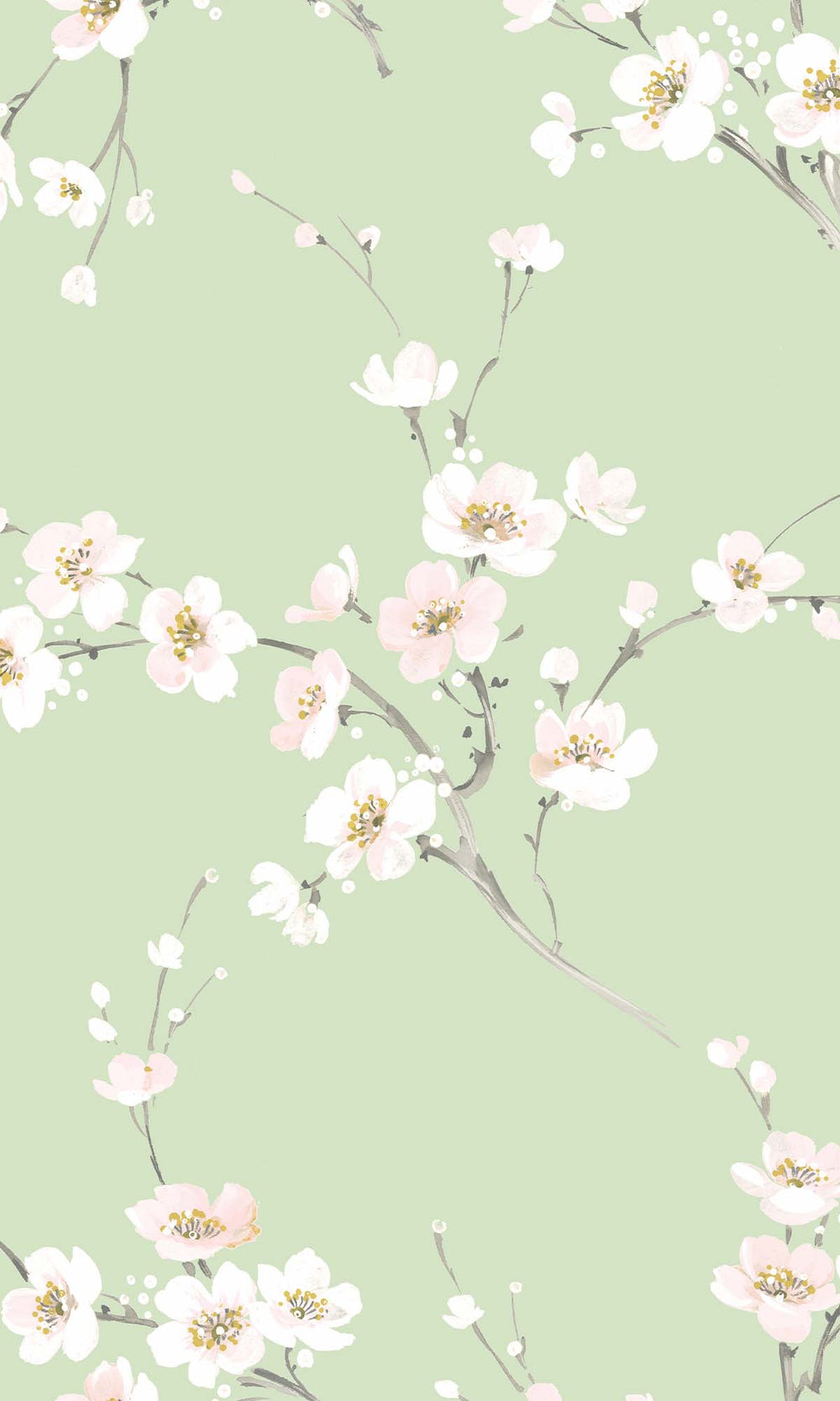 Light Sage Sakura Blossoms Peel & Stick Wallpaper RPS10517