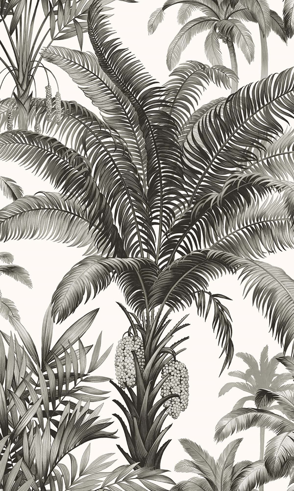 Black Olive Tropical Palm Trees Peel & Stick Wallpaper RPS10525