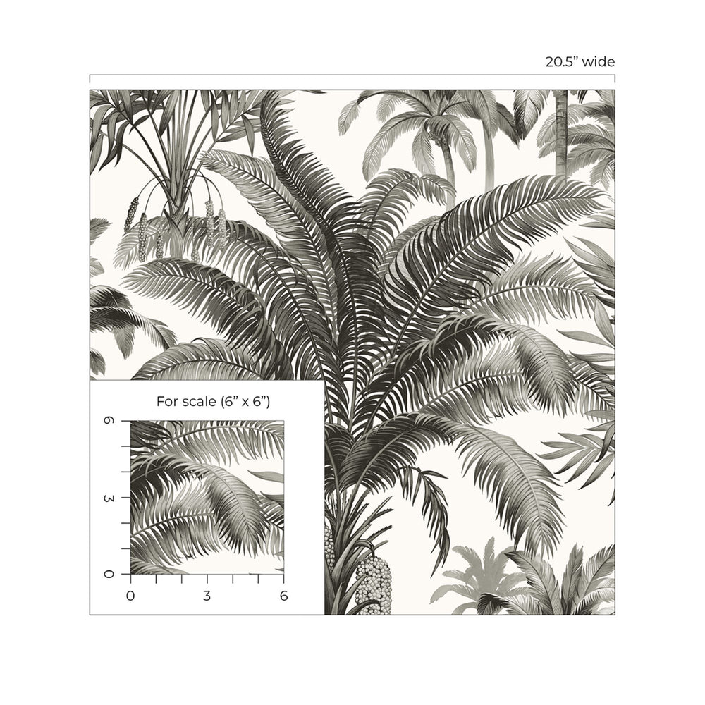 Black Olive Tropical Palm Trees Peel & Stick Wallpaper RPS10525
