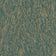 Teal (this color)