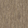 Umber (this color)
