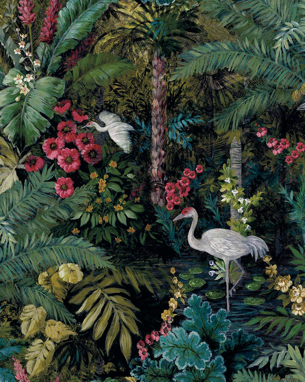 Black  Bold Tropical Paradise Botanical Wallpaper R7580