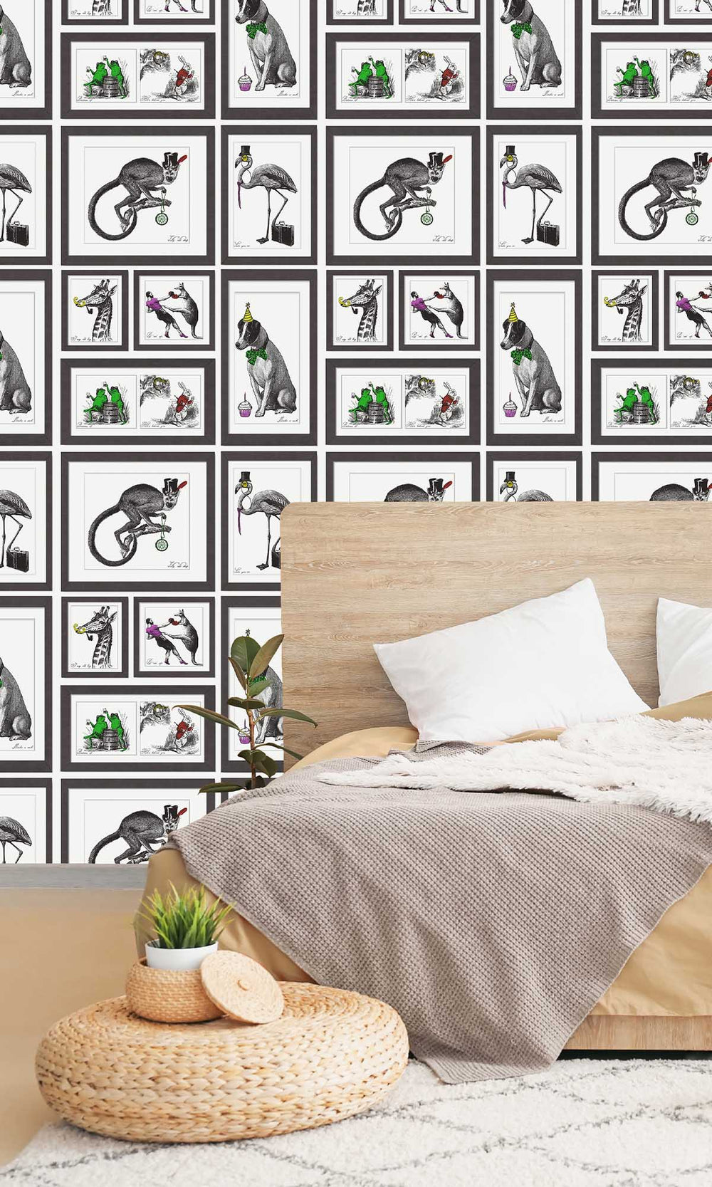 Multi Color Illustrated Animals in a Frame Wallpaper R7666
