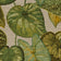 Beige & Green (this color)