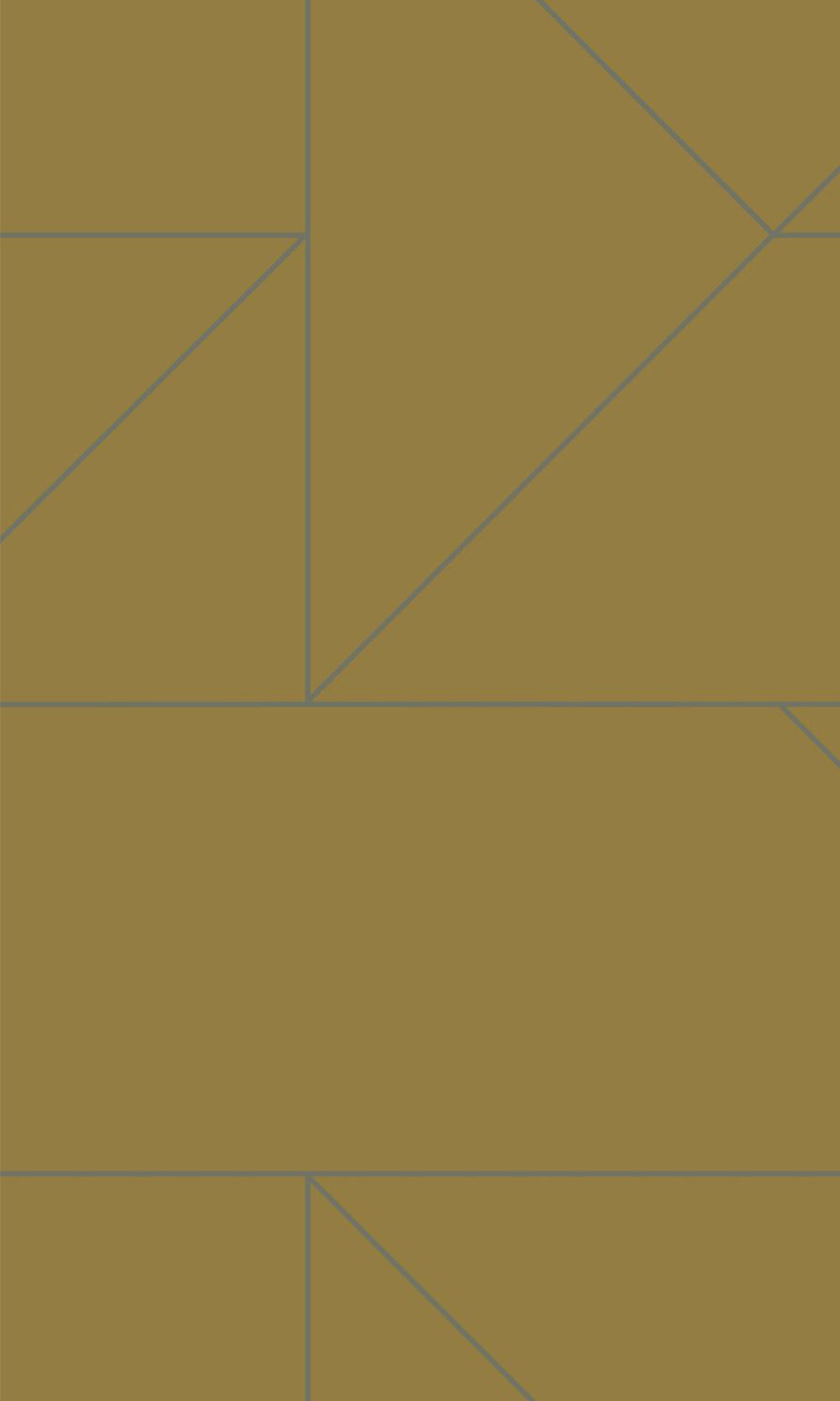 Graphic Line Geometric Wallpaper  R8342