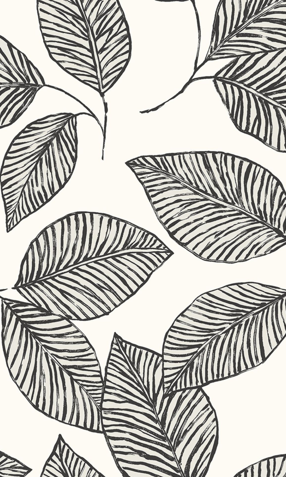 Black Hand Drawn Tropical Leaves Wallpaper R8515