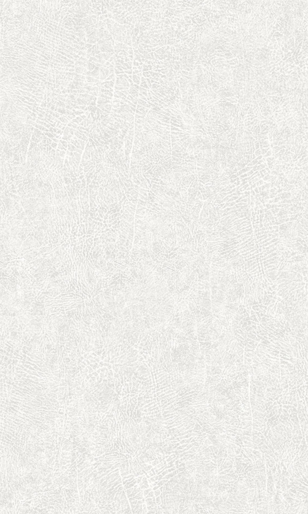 Egg Shell Scratched Plain Textured Wallpaper R8533