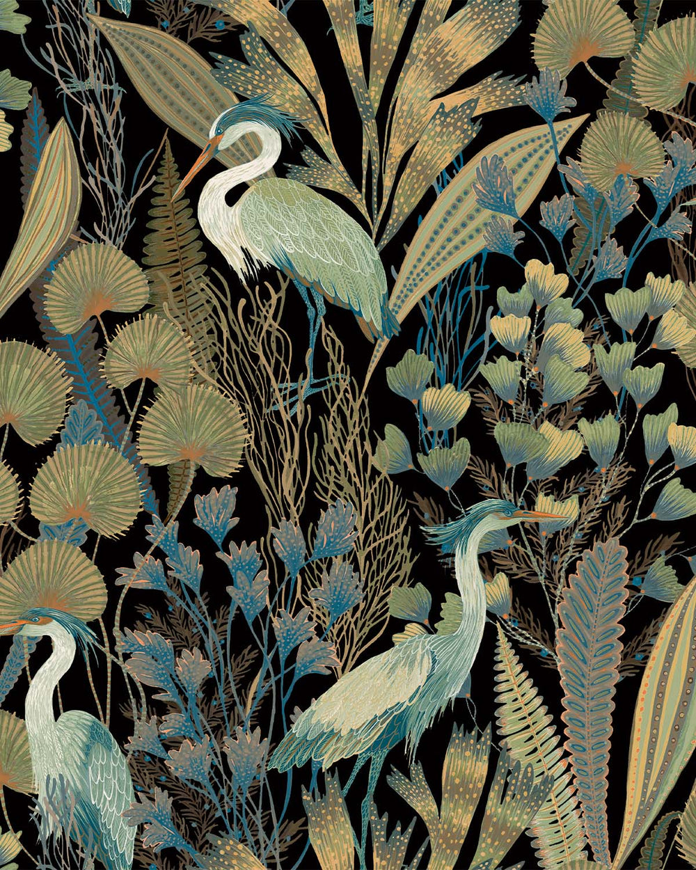 Black Heron Birds Tropical Wallpaper R8895