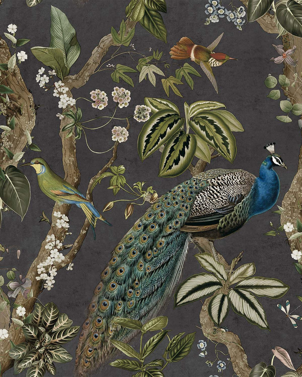 Charcoal Climbing Peacock & Climbing Florals Tropical Wallpaper R8988