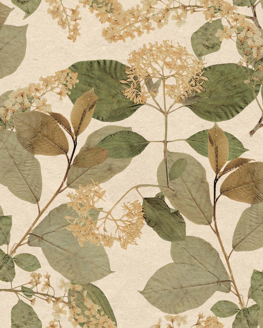 Cream Green Botanical Leaves Wallpaper R9129