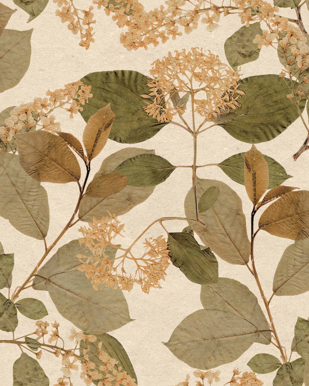 Apricot Orange Botanical Leaves Wallpaper R9130