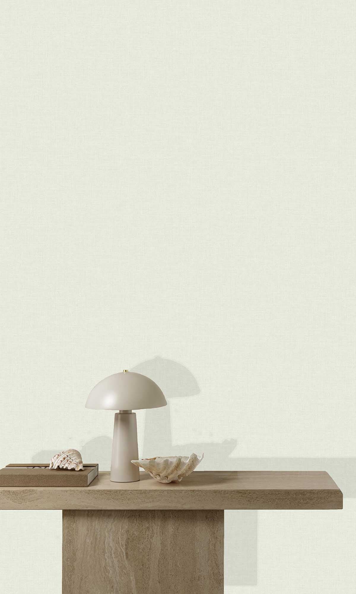 Light Grey Plain Textured Wallpaper R9228