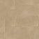 Beige (this color)