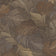 Brown (this color)