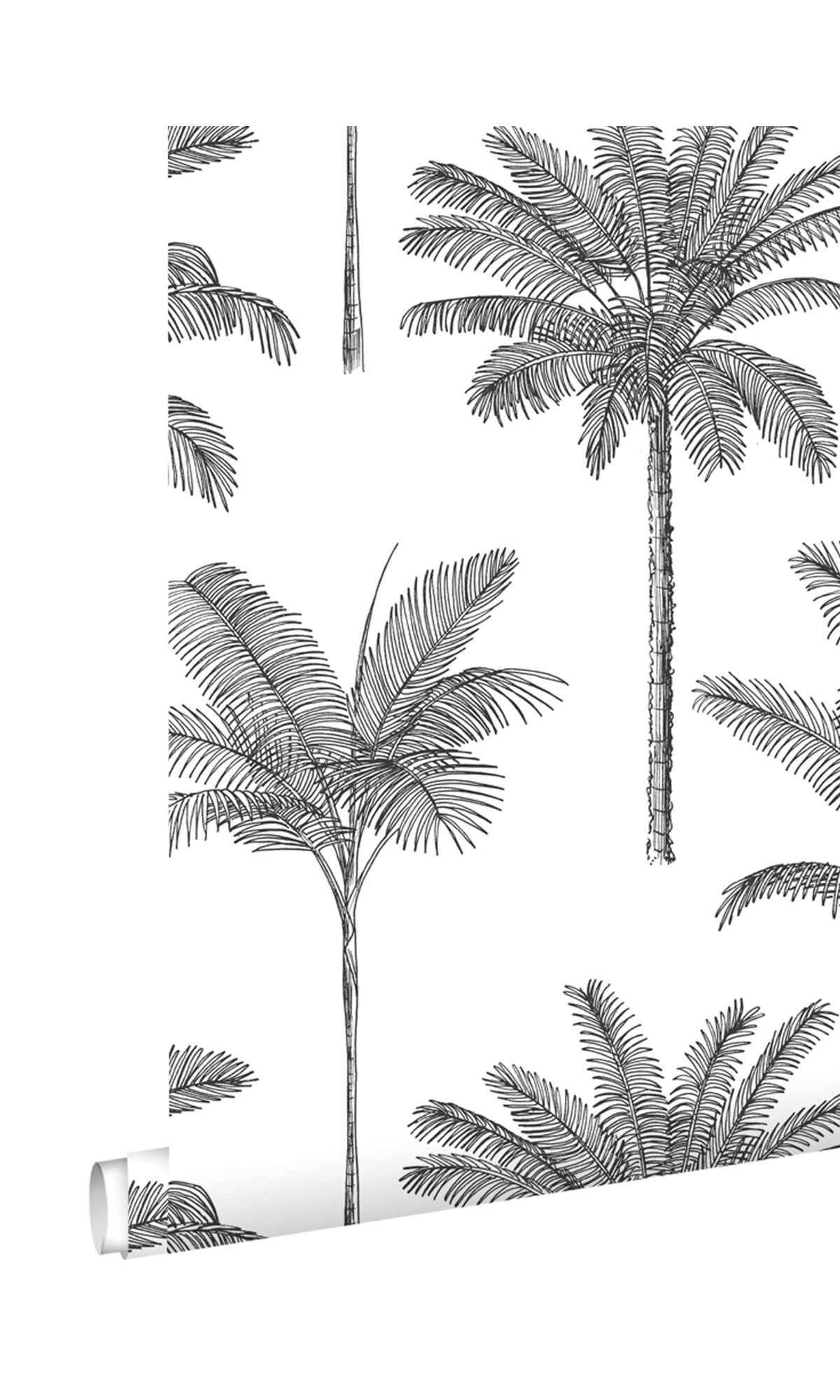 tropical palm wallpaper, palm leaf wallpaper, tropical leaf wallpaper, palm wallpaper, palm leaves wallpaper, wallpaper for accent wall, aesthetic palm tree wallpaper, palm trees aesthetic, banana leaf background, banana leaf wallpaper, banana leaf wallcovering, tree wallpaper for walls, leaf background wallpaper, palm greenery,  palm leaf background, palm leaf outline, palm leaf pattern, palm trees wallpaper, 
