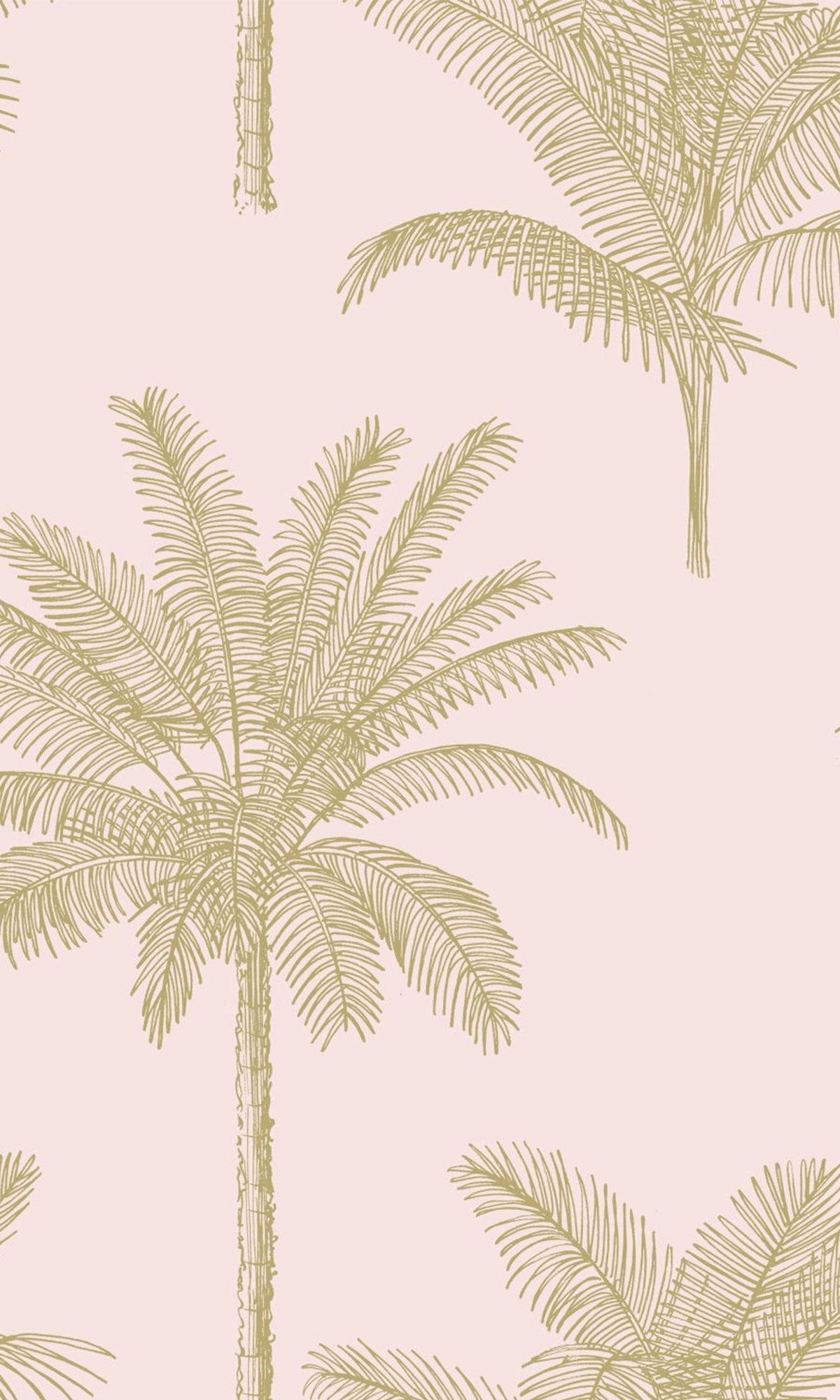 tropical palm wallpaper, palm leaf wallpaper, tropical leaf wallpaper, palm wallpaper, palm leaves wallpaper, wallpaper for accent wall, aesthetic palm tree wallpaper, palm trees aesthetic, banana leaf background, banana leaf wallpaper, banana leaf wallcovering, tree wallpaper for walls, leaf background wallpaper, palm greenery,  palm leaf background, palm leaf outline, palm leaf pattern, palm trees wallpaper, 
