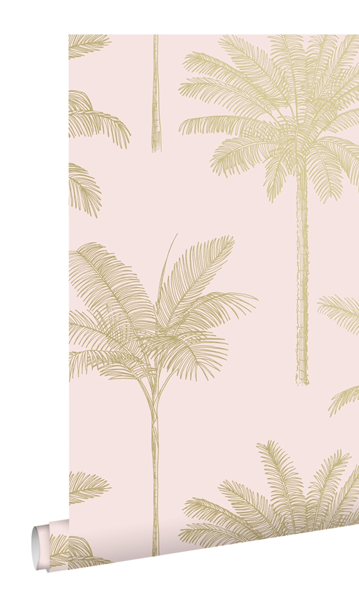 tropical palm wallpaper, palm leaf wallpaper, tropical leaf wallpaper, palm wallpaper, palm leaves wallpaper, wallpaper for accent wall, aesthetic palm tree wallpaper, palm trees aesthetic, banana leaf background, banana leaf wallpaper, banana leaf wallcovering, tree wallpaper for walls, leaf background wallpaper, palm greenery,  palm leaf background, palm leaf outline, palm leaf pattern, palm trees wallpaper, 
